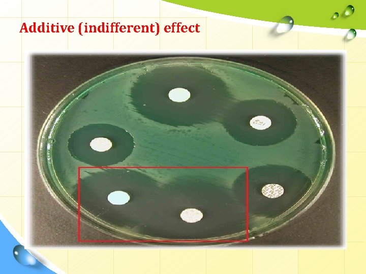 Additive (indifferent) effect 