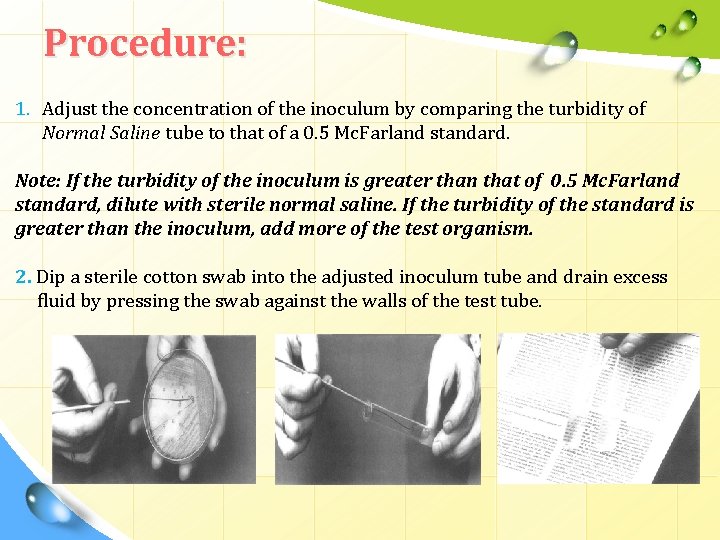 Procedure: 1. Adjust the concentration of the inoculum by comparing the turbidity of Normal