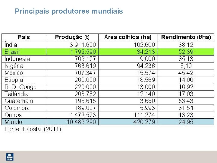 Principais produtores mundiais FAO 2009 