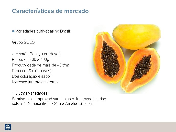 Características de mercado Variedades cultivadas no Brasil: Grupo SOLO - Mamão Papaya ou Havai