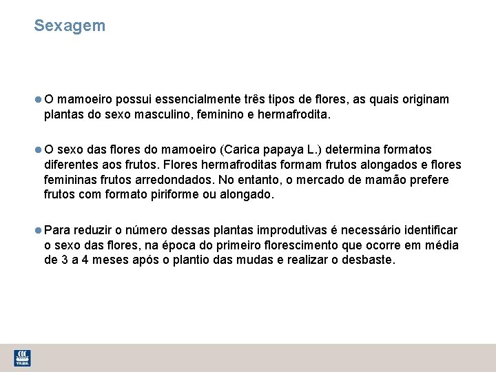 Sexagem O mamoeiro possui essencialmente três tipos de flores, as quais originam plantas do
