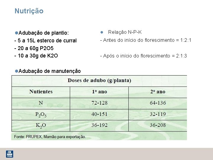 Nutrição Adubação de plantio: - 5 a 15 L esterco de curral - 20