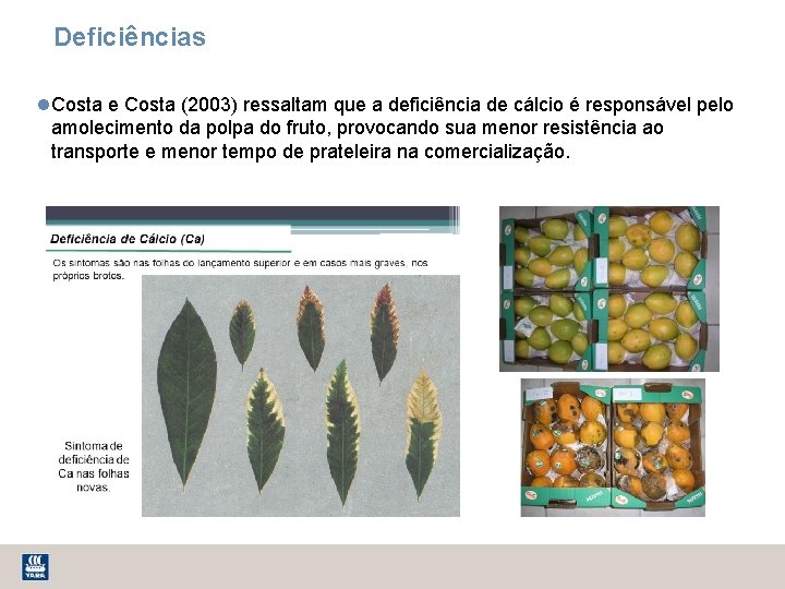 Deficiências Costa e Costa (2003) ressaltam que a deficiência de cálcio é responsável pelo