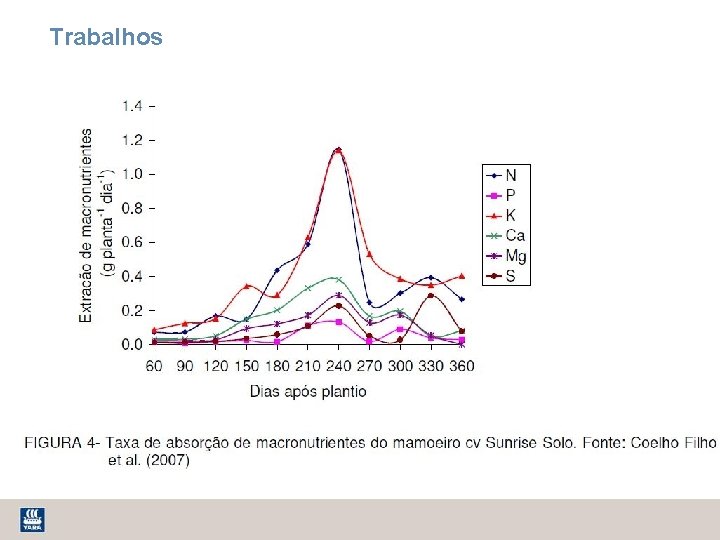 Trabalhos 