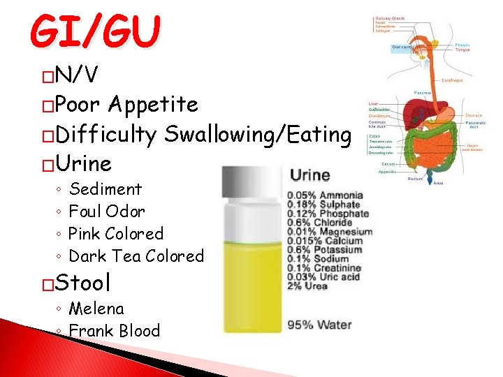GI/GU �N/V �Poor Appetite �Difficulty Swallowing/Eating �Urine ◦ ◦ Sediment Foul Odor Pink Colored