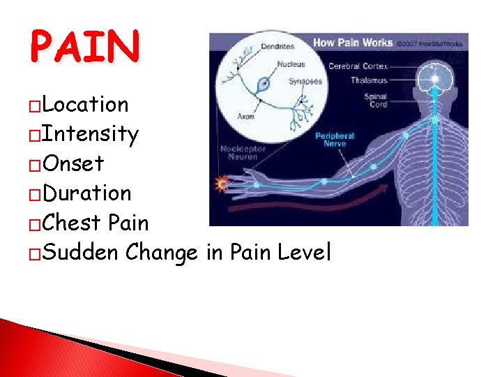 PAIN �Location �Intensity �Onset �Duration �Chest Pain �Sudden Change in Pain Level 