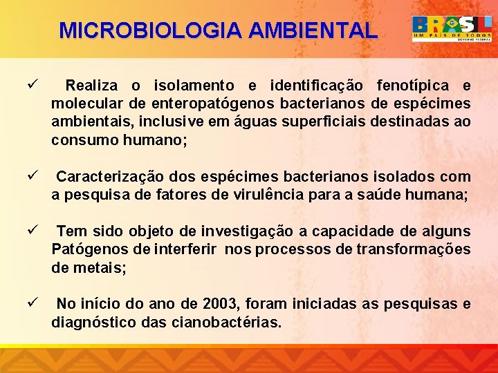 MICROBIOLOGIA AMBIENTAL ü Realiza o isolamento e identificação fenotípica e molecular de enteropatógenos bacterianos