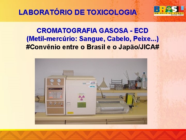 LABORATÓRIO DE TOXICOLOGIA CROMATOGRAFIA GASOSA - ECD (Metil-mercúrio: Sangue, Cabelo, Peixe. . . )