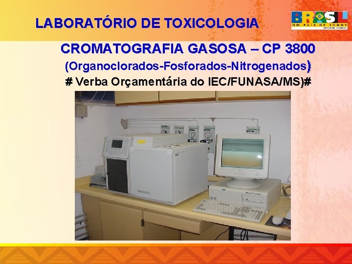 LABORATÓRIO DE TOXICOLOGIA CROMATOGRAFIA GASOSA – CP 3800 (Organoclorados-Fosforados-Nitrogenados) # Verba Orçamentária do IEC/FUNASA/MS)#