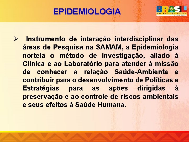 EPIDEMIOLOGIA Ø Instrumento de interação interdisciplinar das áreas de Pesquisa na SAMAM, a Epidemiologia