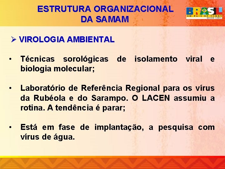 ESTRUTURA ORGANIZACIONAL DA SAMAM Ø VIROLOGIA AMBIENTAL • Técnicas sorológicas biologia molecular; • Laboratório