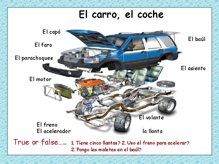 El carro, el coche El capó El baúl El faro El parachoques El asiento