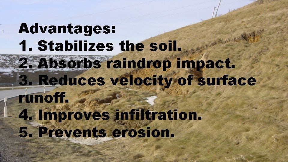 Advantages: 1. Stabilizes the soil. 2. Absorbs raindrop impact. 3. Reduces velocity of surface