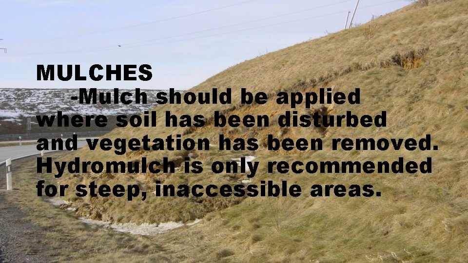 MULCHES -Mulch should be applied where soil has been disturbed and vegetation has been