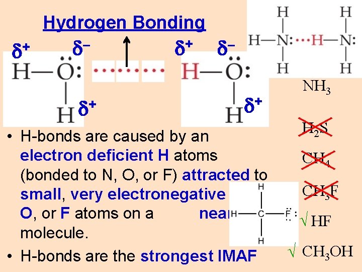Hydrogen Bonding d+ d– d+ • H-bonds are caused by an electron deficient H