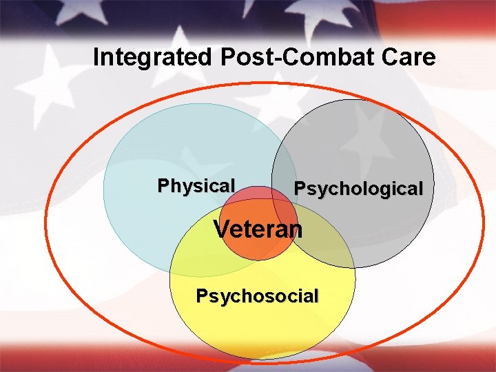 Integrated Post-Combat Care Physical Psychological Veteran Psychosocial 