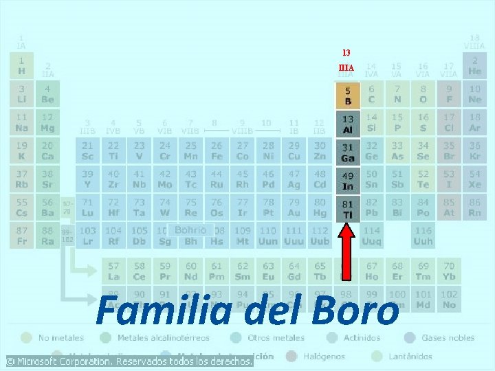 13 IIIA Familia del Boro 13 IIIA Familia del Boro