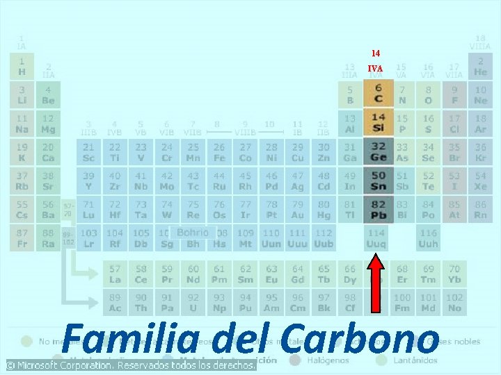 14 IVA Familia del Carbono 14 IVA Familia del Carbono