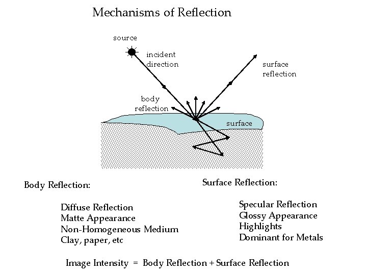 Mechanisms of Reflection source incident direction surface reflection body reflection surface Body Reflection: Diffuse