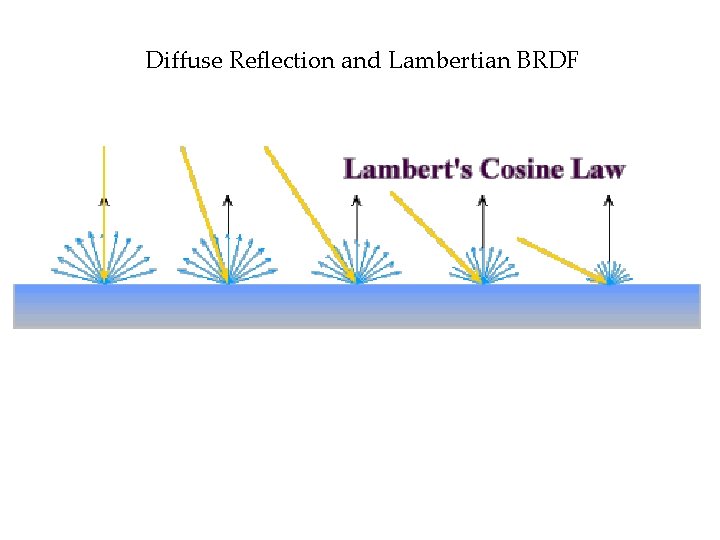 Diffuse Reflection and Lambertian BRDF 