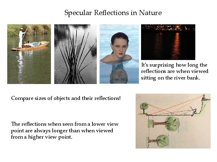 Specular Reflections in Nature It's surprising how long the reflections are when viewed sitting