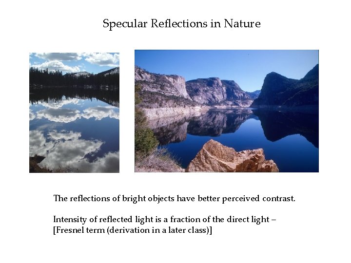 Specular Reflections in Nature The reflections of bright objects have better perceived contrast. Intensity