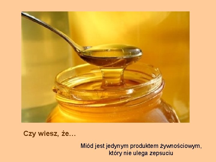 Czy wiesz, że… Miód jest jedynym produktem żywnościowym, który nie ulega zepsuciu 