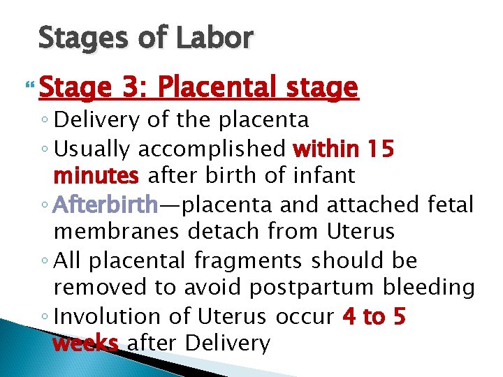 Stages of Labor Stage 3: Placental stage ◦ Delivery of the placenta ◦ Usually