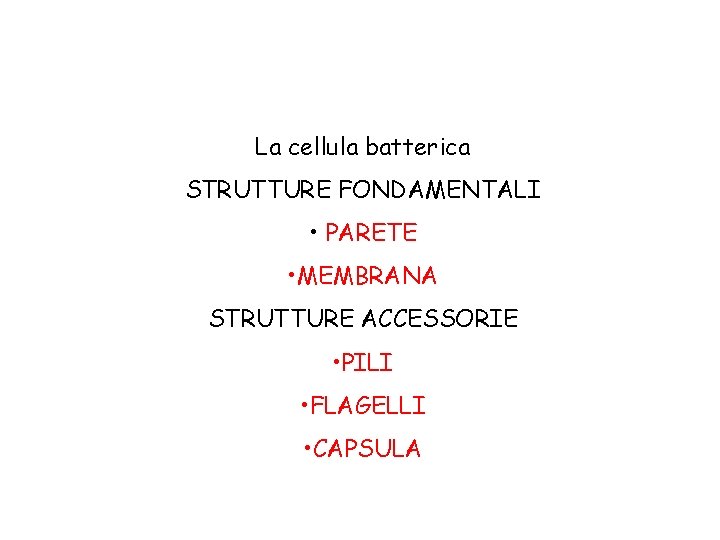 La cellula batterica STRUTTURE FONDAMENTALI • PARETE • MEMBRANA STRUTTURE ACCESSORIE • PILI •