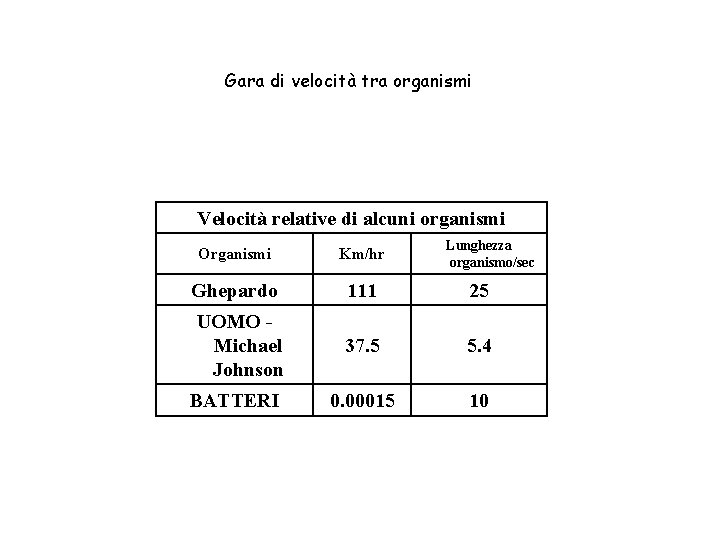 Gara di velocità tra organismi Velocità relative di alcuni organismi Lunghezza organismo/sec Organismi Km/hr