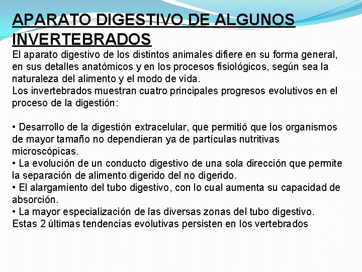 APARATO DIGESTIVO DE ALGUNOS INVERTEBRADOS El aparato digestivo de los distintos animales difiere en