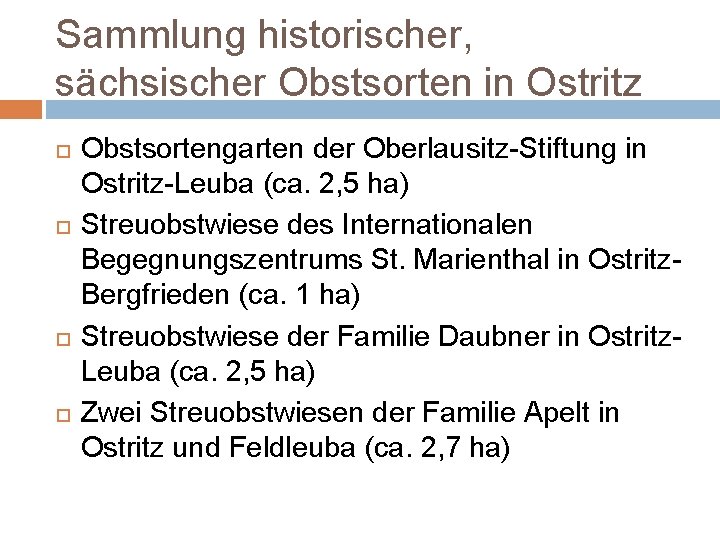 Sammlung historischer, sächsischer Obstsorten in Ostritz Obstsortengarten der Oberlausitz-Stiftung in Ostritz-Leuba (ca. 2, 5