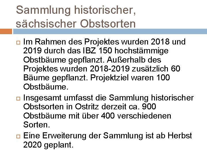 Sammlung historischer, sächsischer Obstsorten Im Rahmen des Projektes wurden 2018 und 2019 durch das