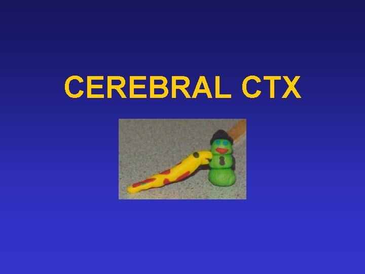 CEREBRAL CTX 