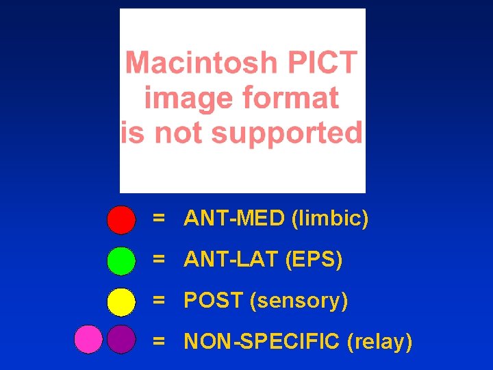 = ANT-MED (limbic) = ANT-LAT (EPS) = POST (sensory) = NON-SPECIFIC (relay) 