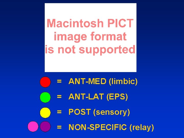 = ANT-MED (limbic) = ANT-LAT (EPS) = POST (sensory) = NON-SPECIFIC (relay) 