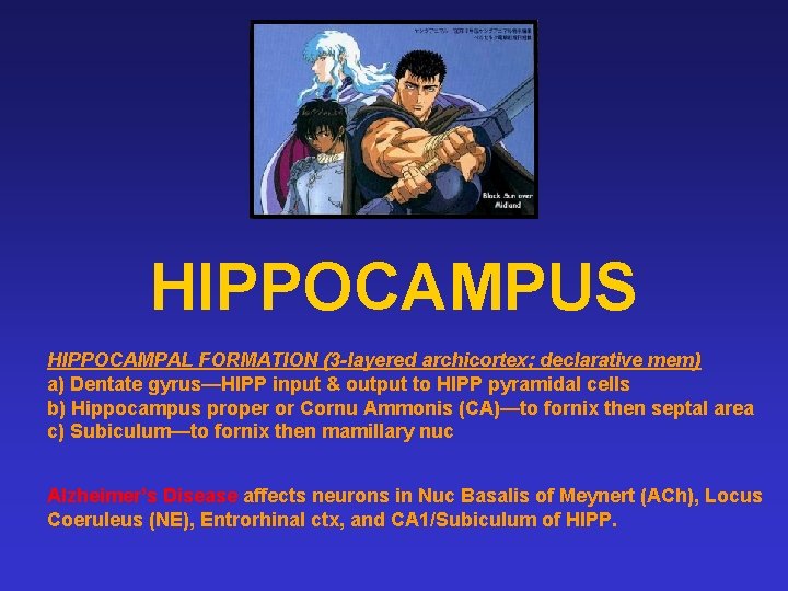 HIPPOCAMPUS HIPPOCAMPAL FORMATION (3 -layered archicortex; declarative mem) a) Dentate gyrus—HIPP input & output