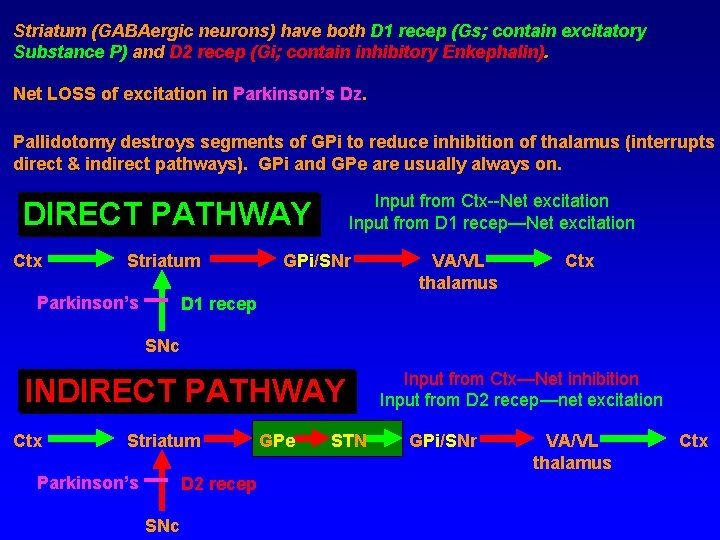 Striatum (GABAergic neurons) have both D 1 recep (Gs; contain excitatory Substance P) and