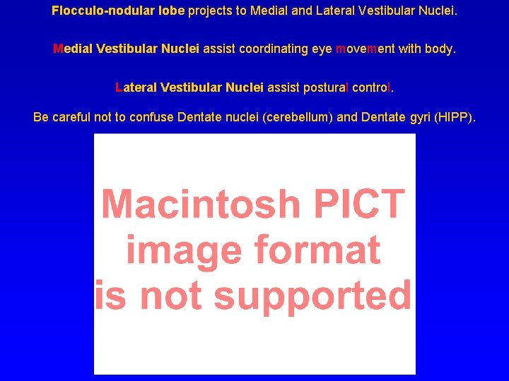 Flocculo-nodular lobe projects to Medial and Lateral Vestibular Nuclei. Medial Vestibular Nuclei assist coordinating