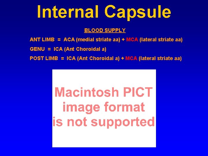 Internal Capsule BLOOD SUPPLY ANT LIMB = ACA (medial striate aa) + MCA (lateral