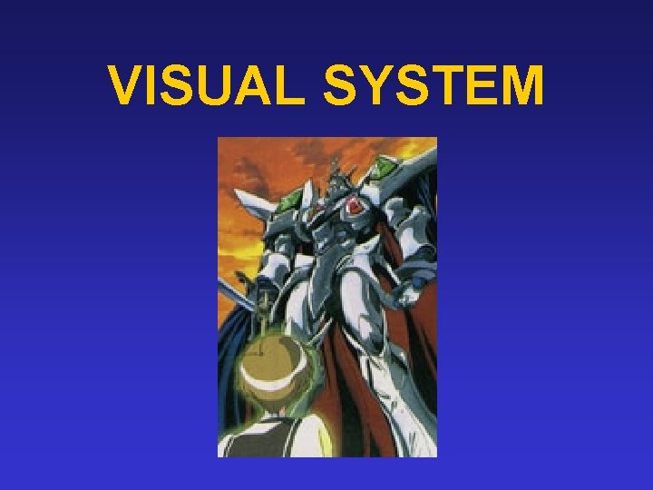 VISUAL SYSTEM 