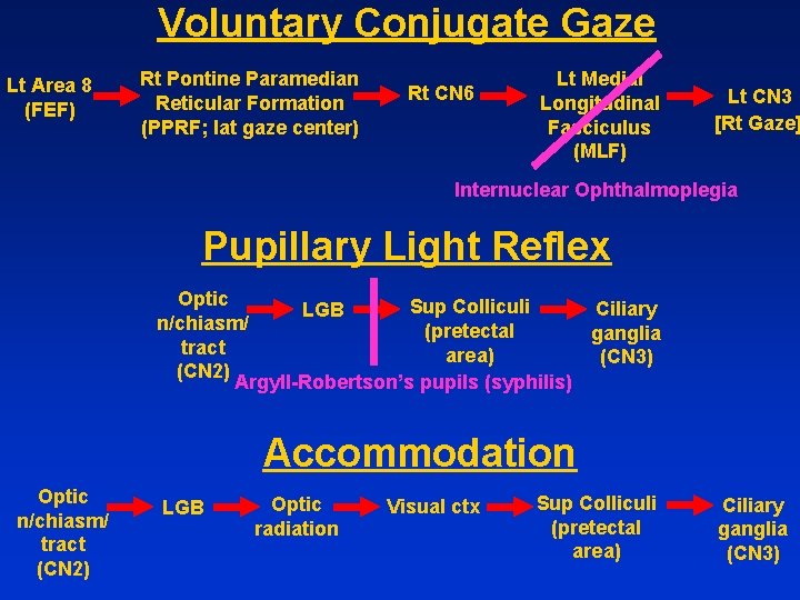 Voluntary Conjugate Gaze Lt Area 8 (FEF) Rt Pontine Paramedian Reticular Formation (PPRF; lat