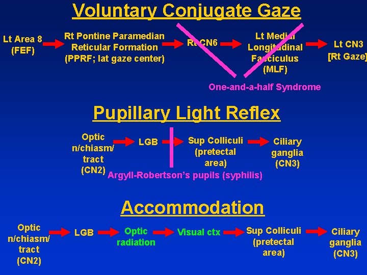 Voluntary Conjugate Gaze Lt Area 8 (FEF) Rt Pontine Paramedian Reticular Formation (PPRF; lat