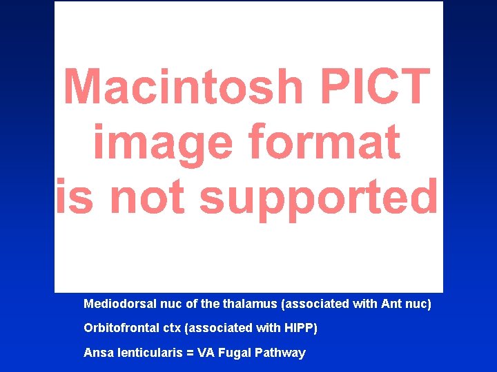 Mediodorsal nuc of the thalamus (associated with Ant nuc) Orbitofrontal ctx (associated with HIPP)