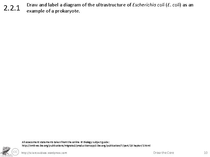 2. 2. 1 Draw and label a diagram of the ultrastructure of Escherichia coli
