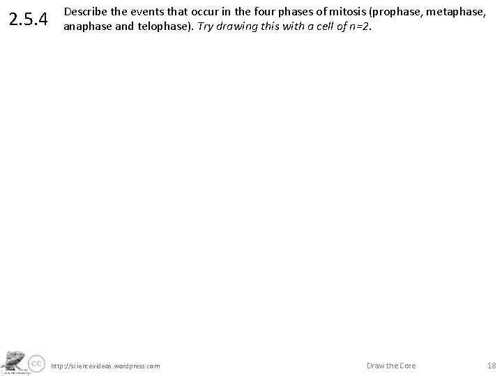 2. 5. 4 Describe the events that occur in the four phases of mitosis