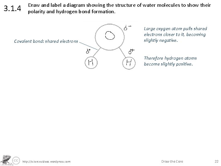 3. 1. 4 Draw and label a diagram showing the structure of water molecules