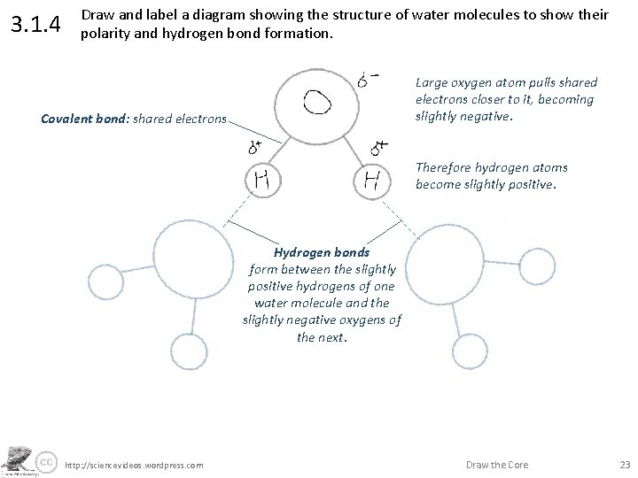 3. 1. 4 Draw and label a diagram showing the structure of water molecules