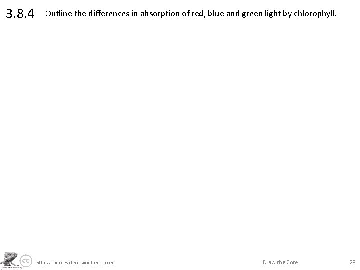 3. 8. 4 Outline the differences in absorption of red, blue and green light