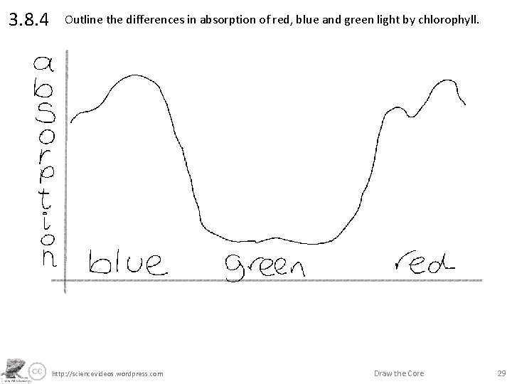 3. 8. 4 Outline the differences in absorption of red, blue and green light